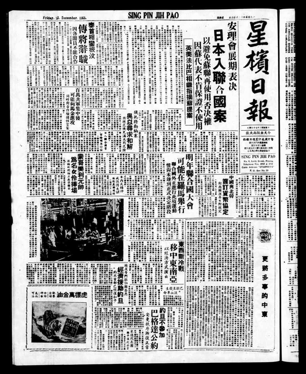 Miniature of 星槟日报  1955年12月23日