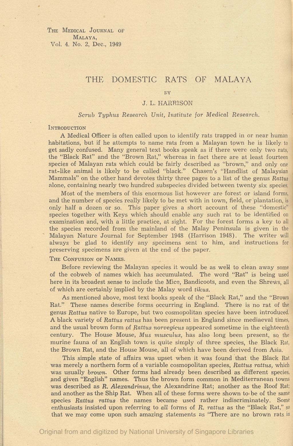 Miniature of Domestic Rats of Malaya