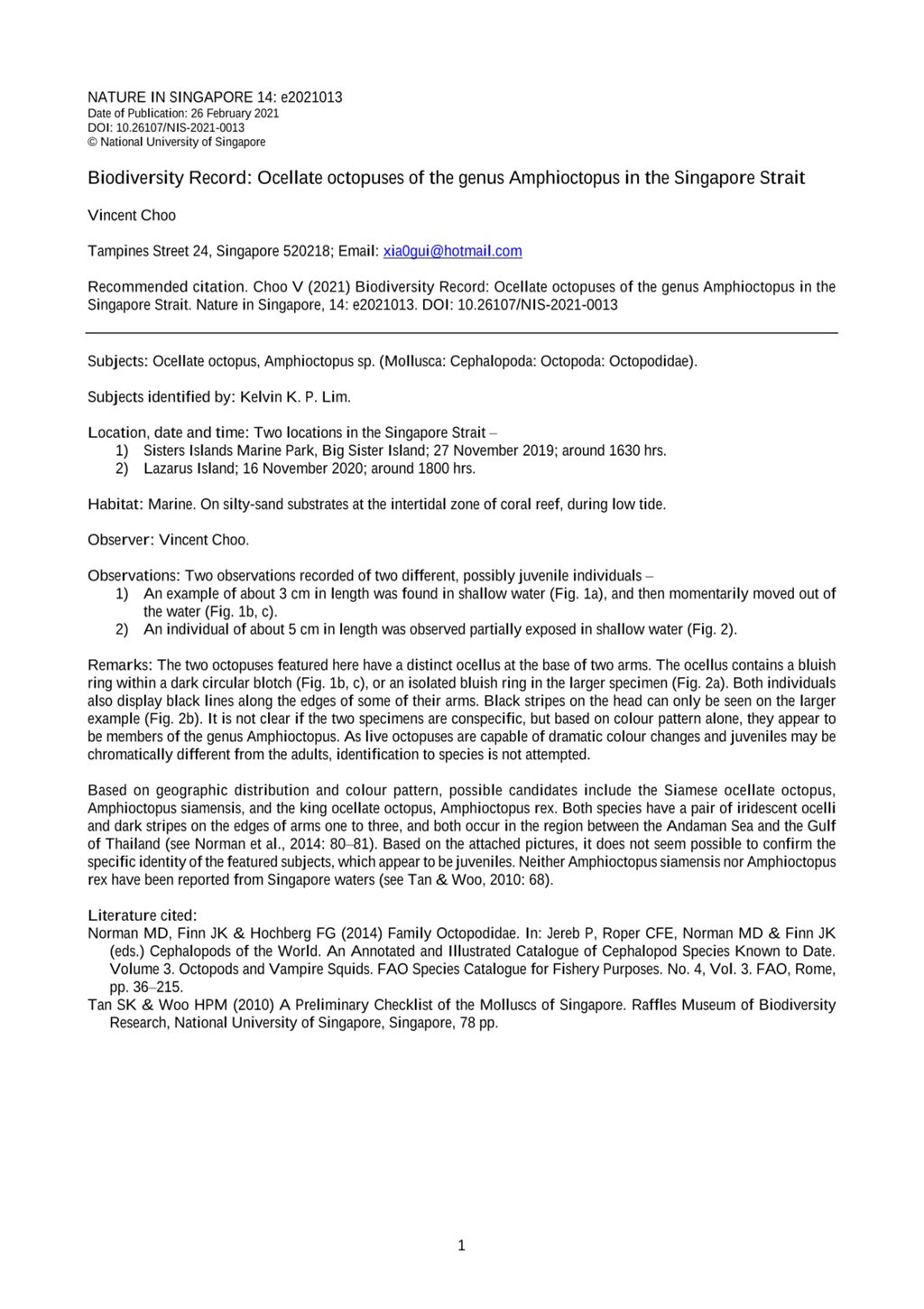 Miniature of Biodiversity record: ocellate octopuses of the genus Amphioctopus in the Singapore Strait