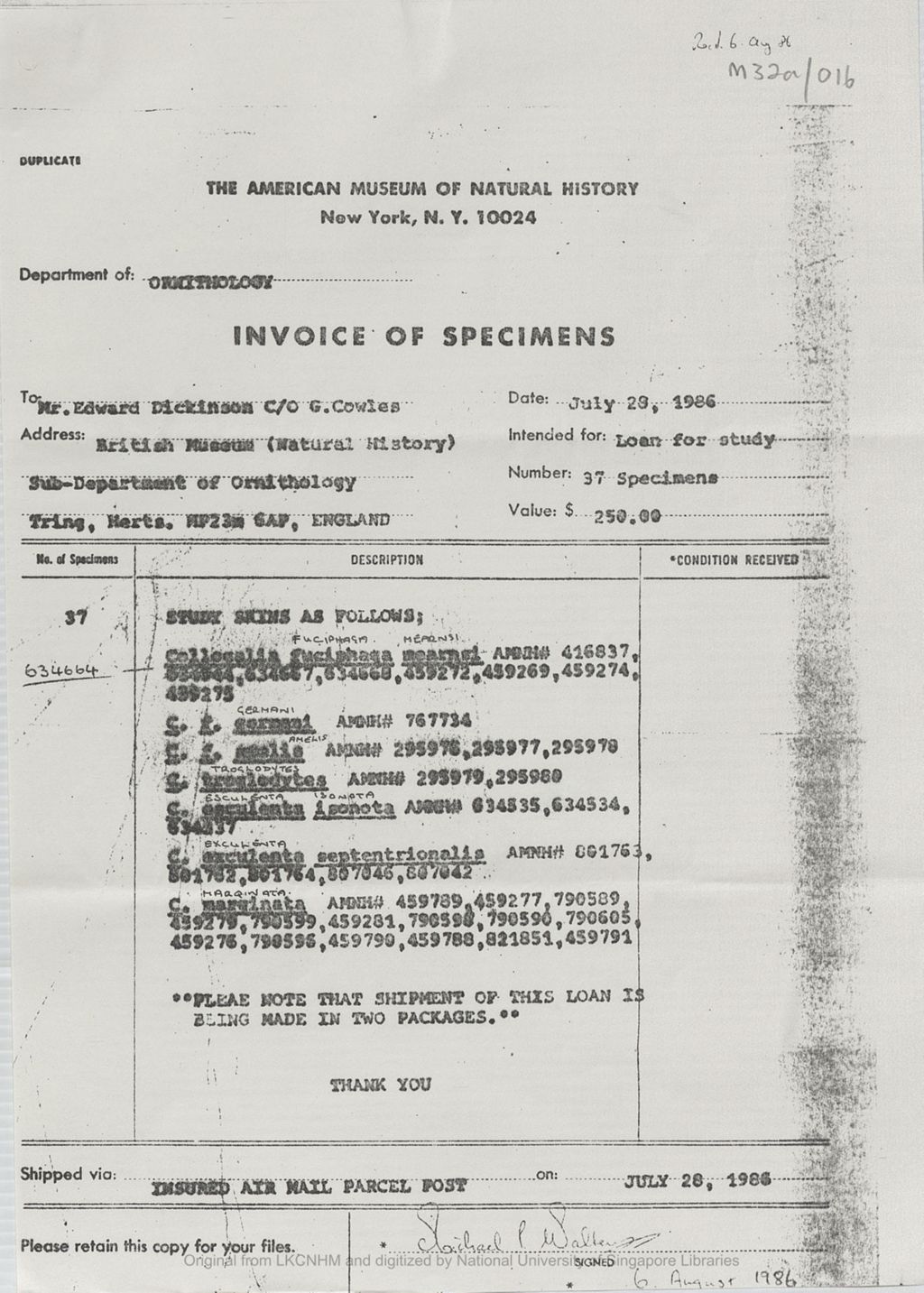 Miniature of Invoice of 37 specimens of Collocalia skins sent to Graham Cowles, Collection Manager, British Museum (Natural History), Sub-Dept. of Ornithology