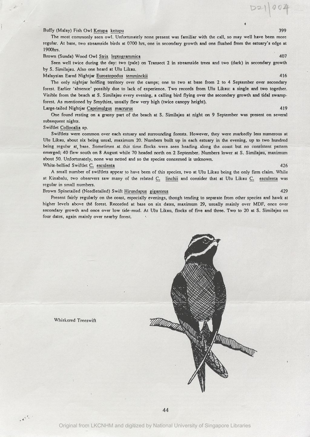 Miniature of Page 44 of  "A bird Inventory of Similajau National Park"