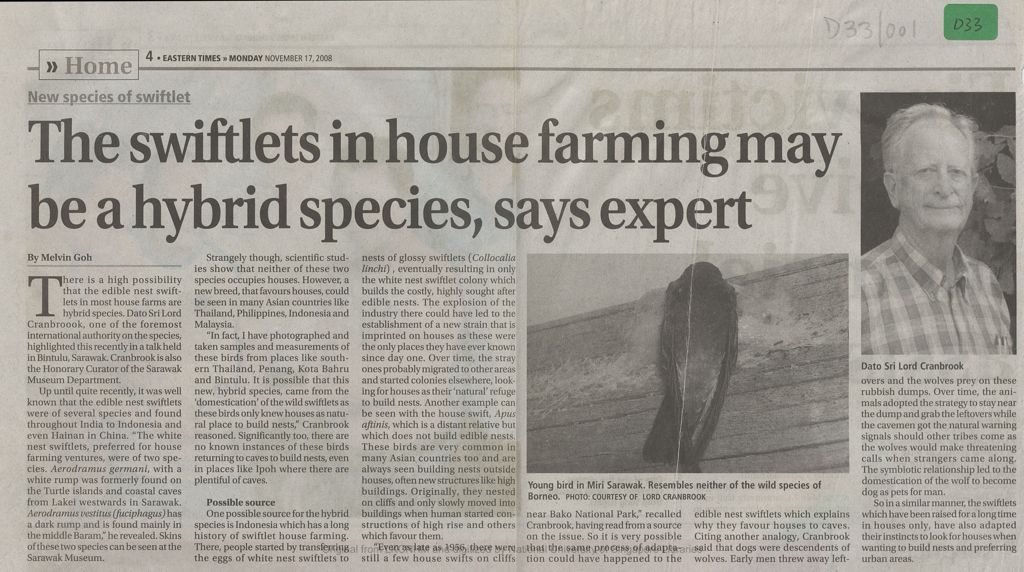 Miniature of The swiftlets in house farming may be a hybrid species, says expert