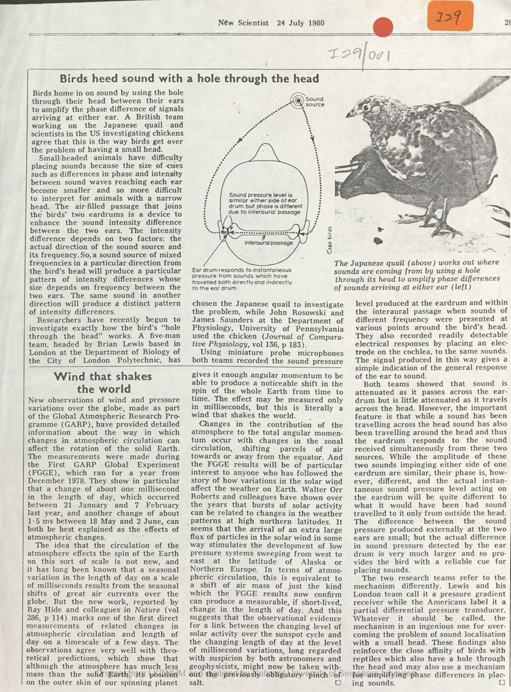 Miniature of Birds heed sound with a hole through the head