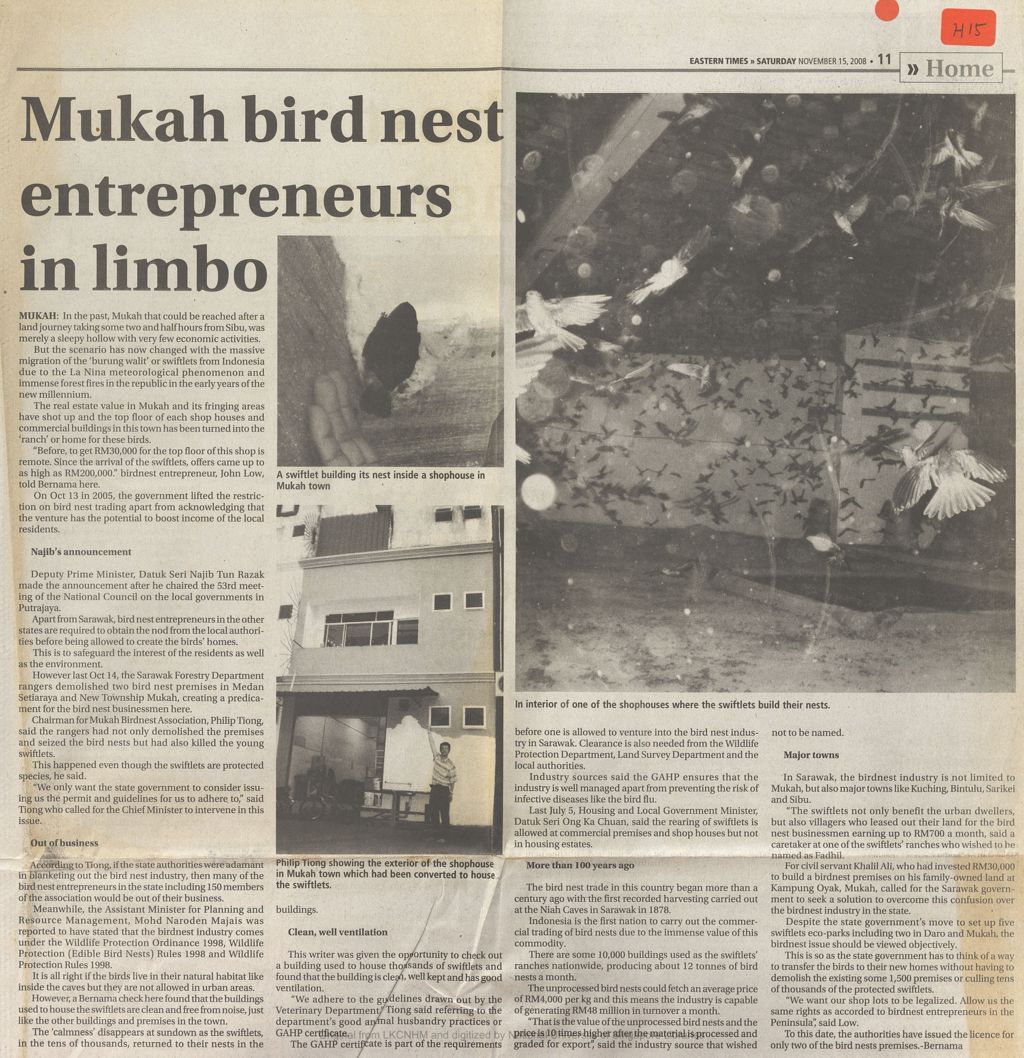 Miniature of Mukah bird nest entrepreneurs in limbo