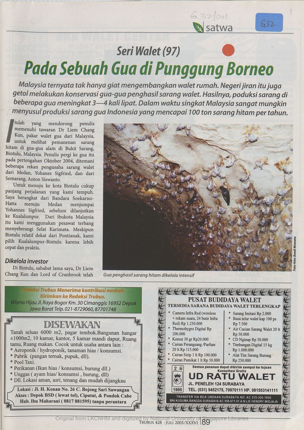 Miniature of Pada sebuah gua di Punggung Borneo