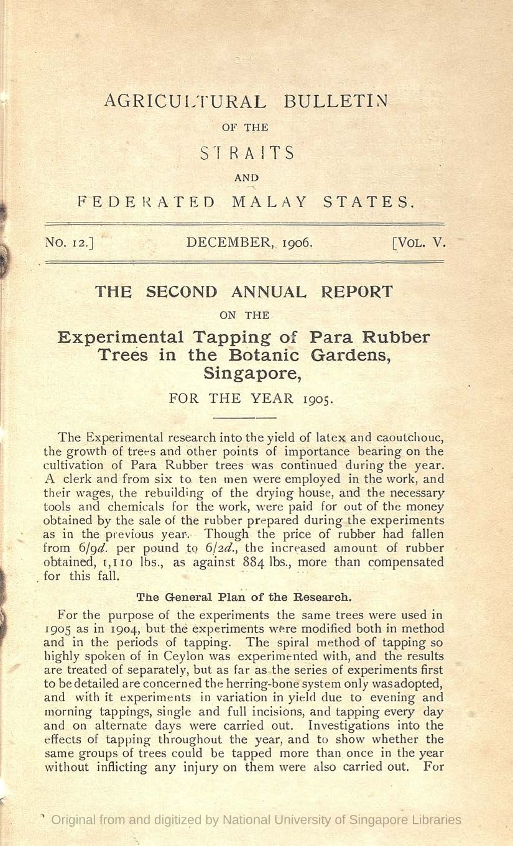 Miniature of The second annual report on the Experimental Tapping of Para Rubber Trees in the Botanic Gardens, Singapore, for the year 1905