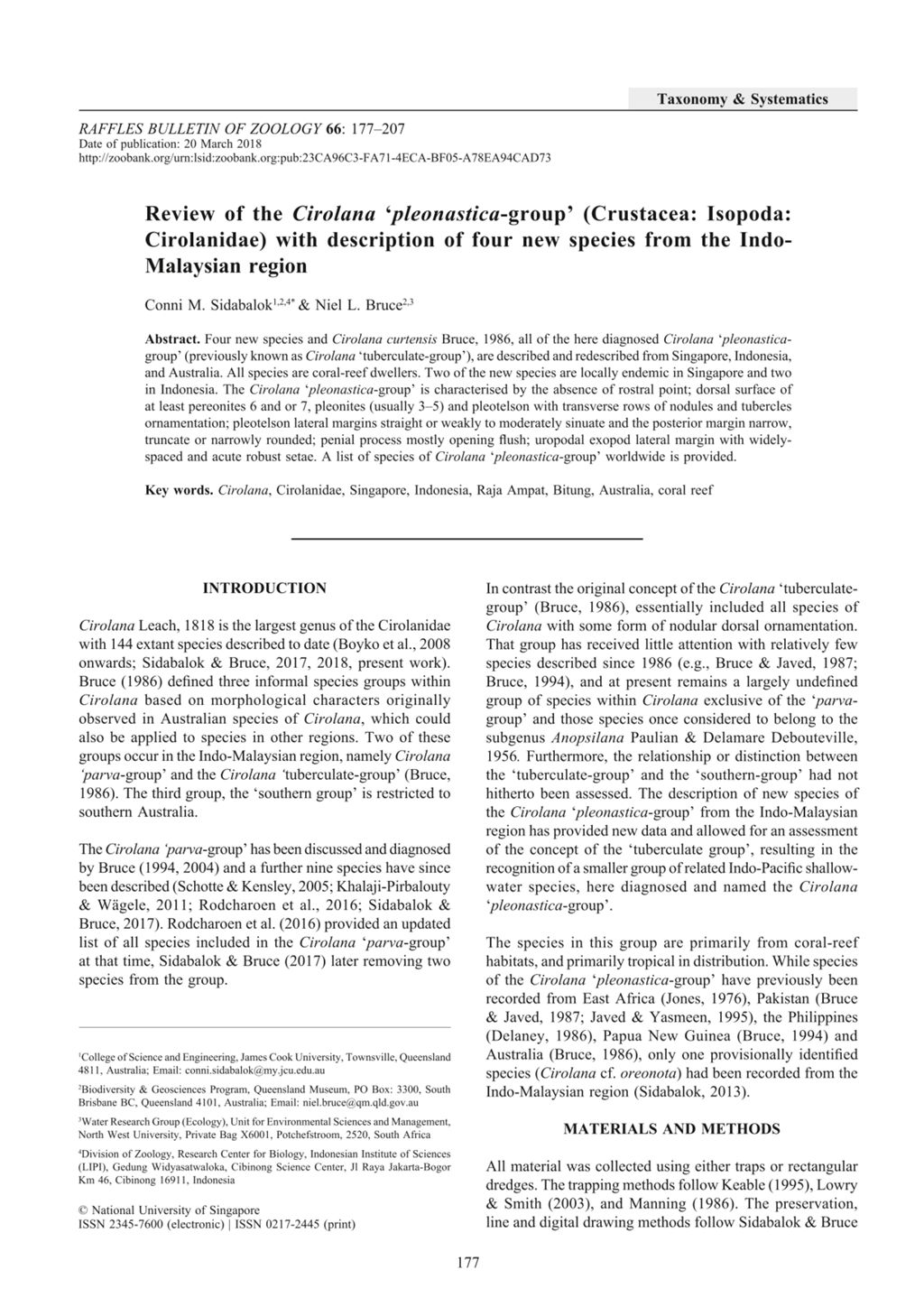 Miniature of Review of the Cirolana ‘pleonastica-group’ (Crustacea: Isopoda: Cirolanidae) with description of four new species from the IndoMalaysian region