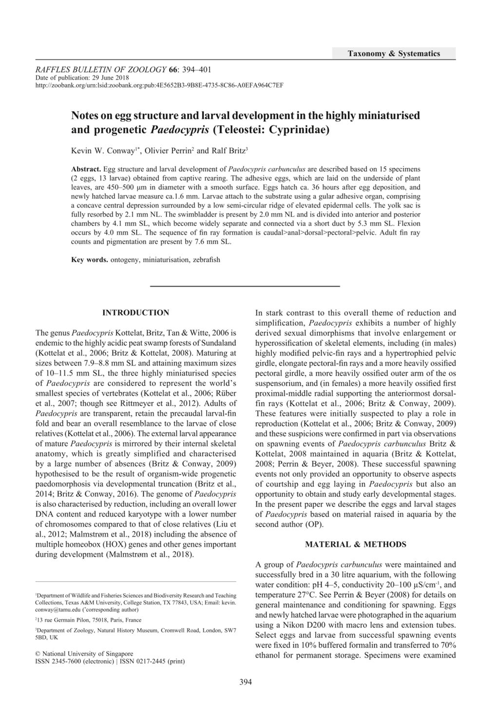 Miniature of Notes on egg structure and larval development in the highly miniaturised and progenetic Paedocypris (Teleostei: Cyprinidae)