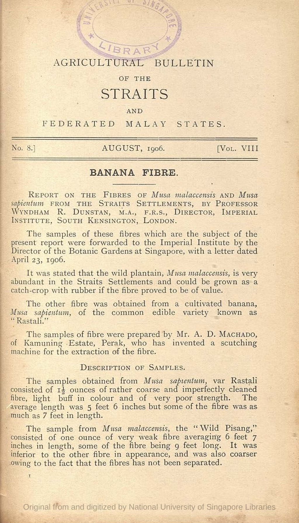 Miniature of Banana fibre