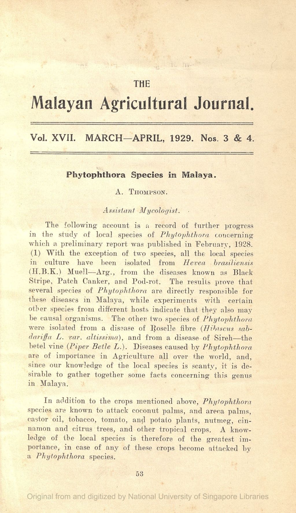 Miniature of Phytophthora Species in Malaya