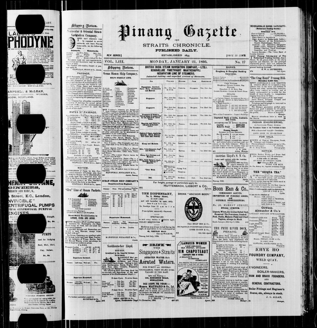 Miniature of Pinang Gazette and Straits Chronicle 21 January 1895