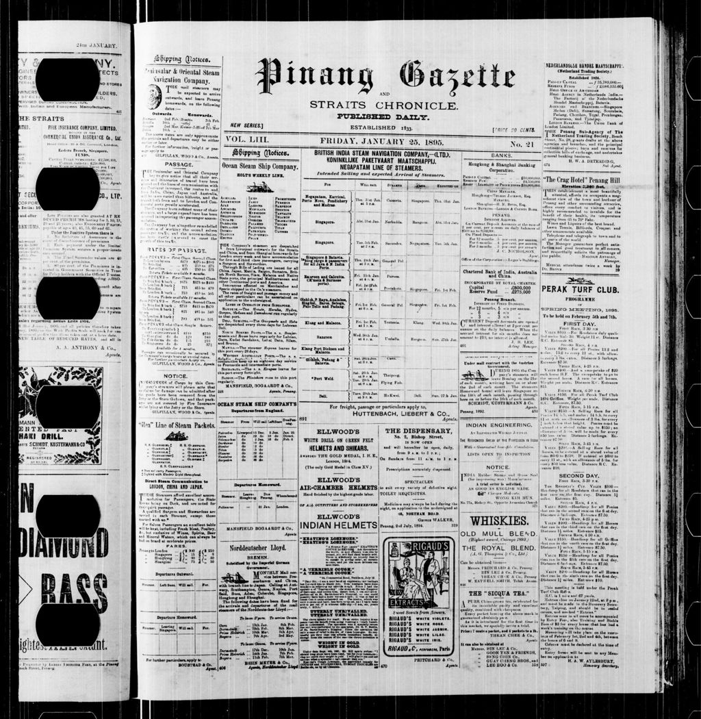 Miniature of Pinang Gazette and Straits Chronicle 25 January 1895