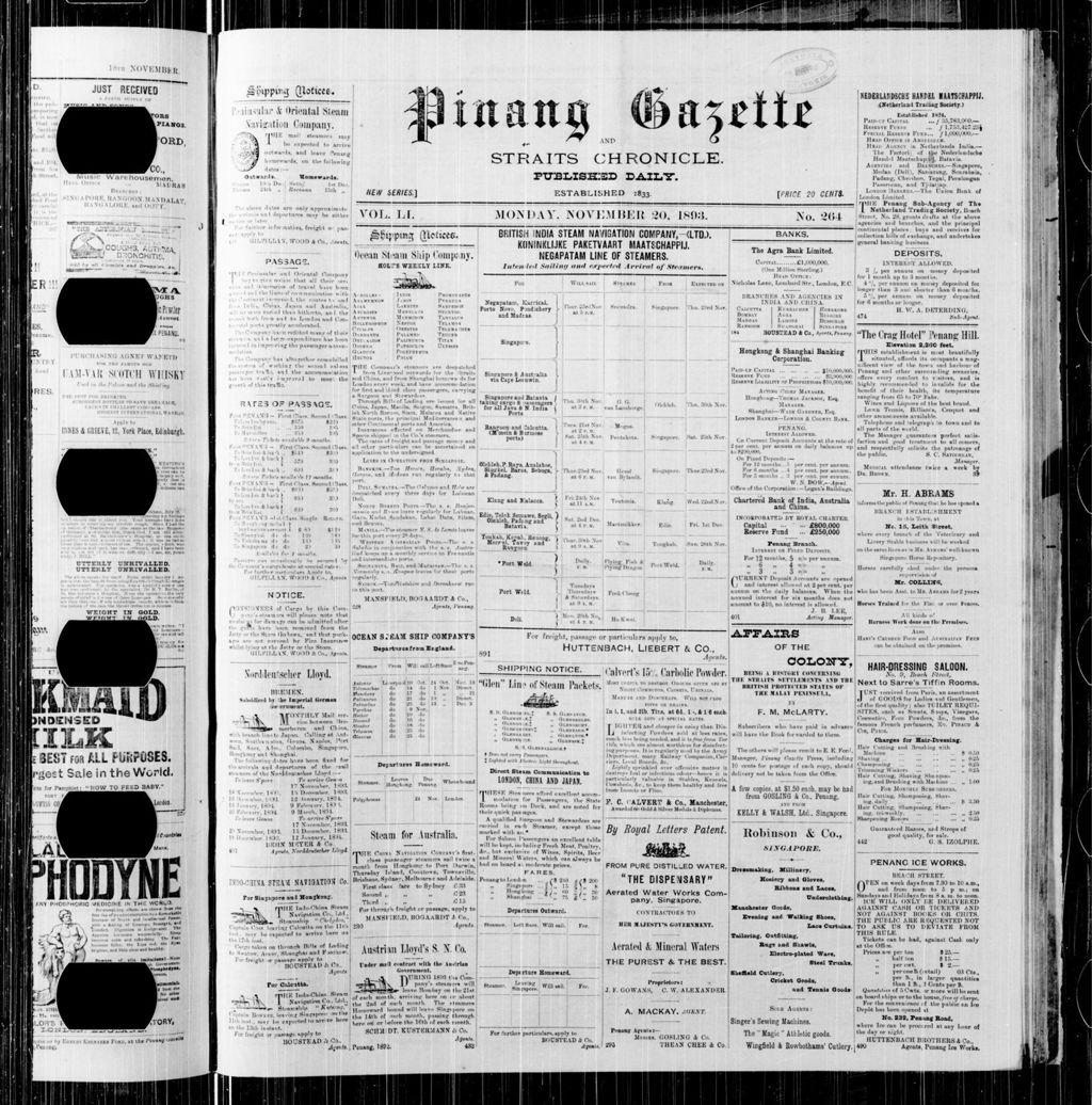 Miniature of Pinang Gazette and Straits Chronicle 20 November 1893