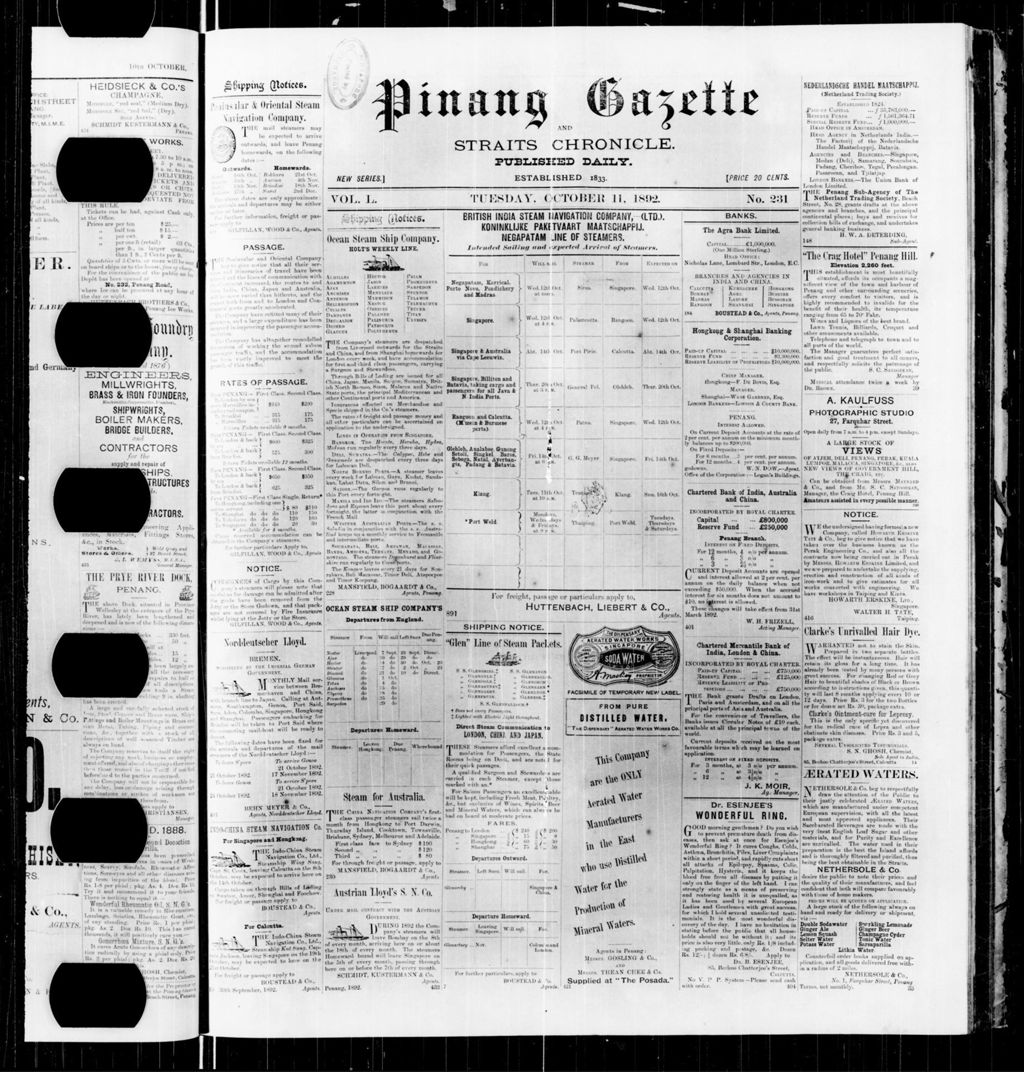 Miniature of Pinang Gazette and Straits Chronicle 11 October 1892